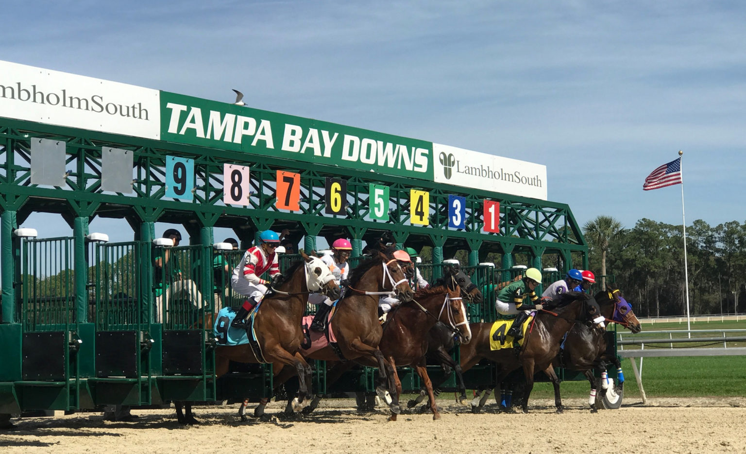 Dozen Go in Tampa Bay Derby PlayUp