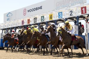 Woodbine