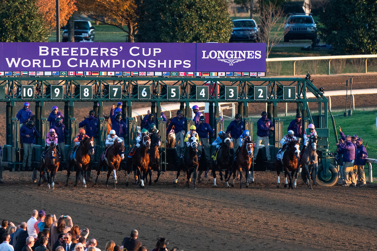 Breeders' Cup by the Numbers