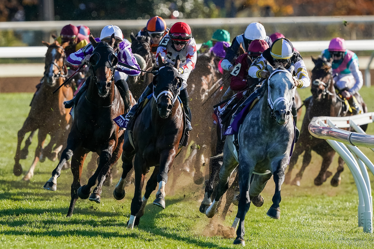 Breeders Cup Mile Betting Trends PlayUp