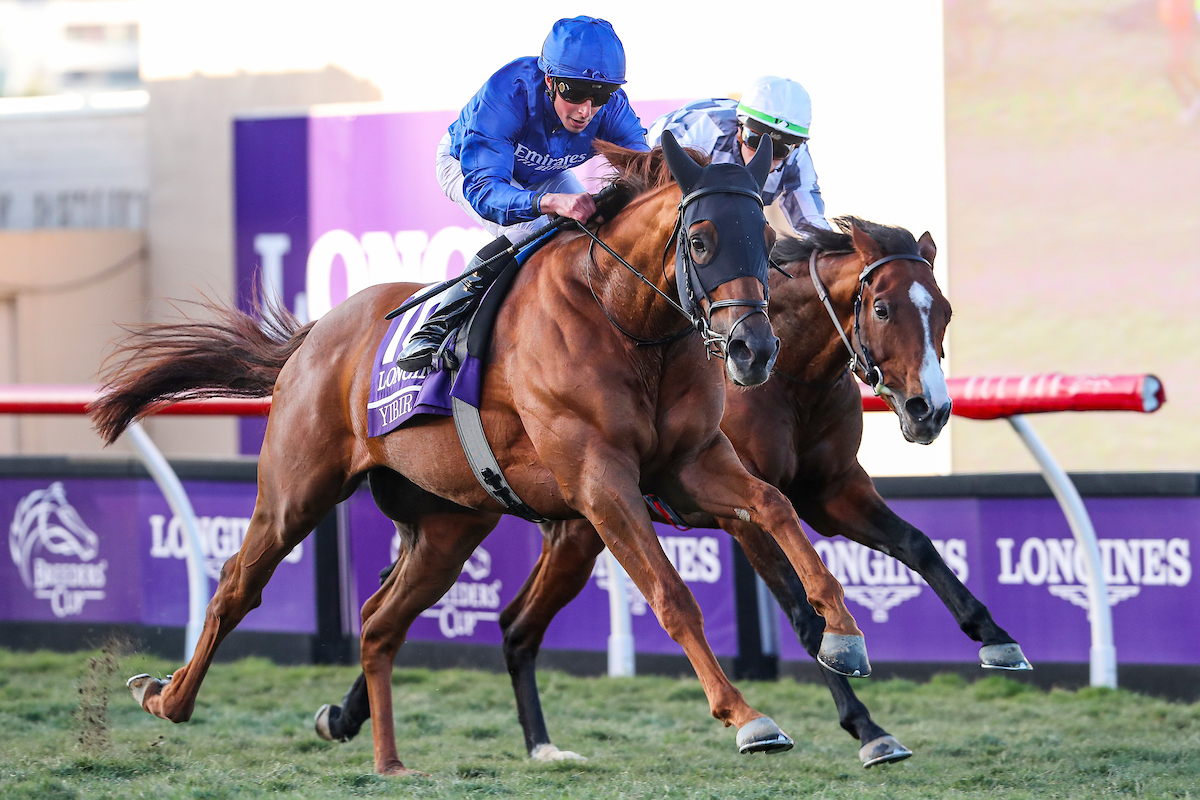 Breeders' Cup Turf Betting Trends
