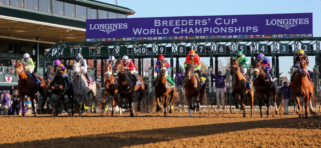 2022 Breeders’ Cup Selections and Analysis