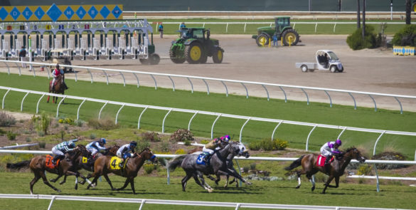 Big Closing Weekend On Tap At Del Mar PlayUp