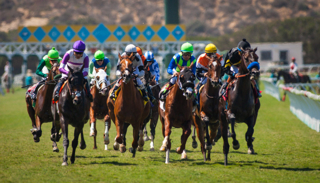 Wide Open Field in Hollywood Derby at Del Mar