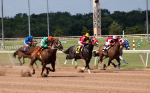 Springboard Mile