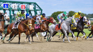 Starlet at Los Al