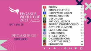 Pegasus