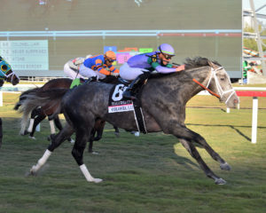 Pegasus World Cup Turf