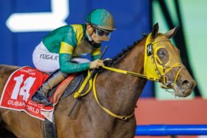 Dubai World Cup