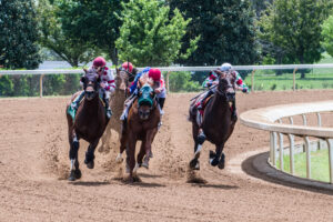 Keeneland Blue Grass