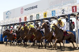 Woodbine Meeting